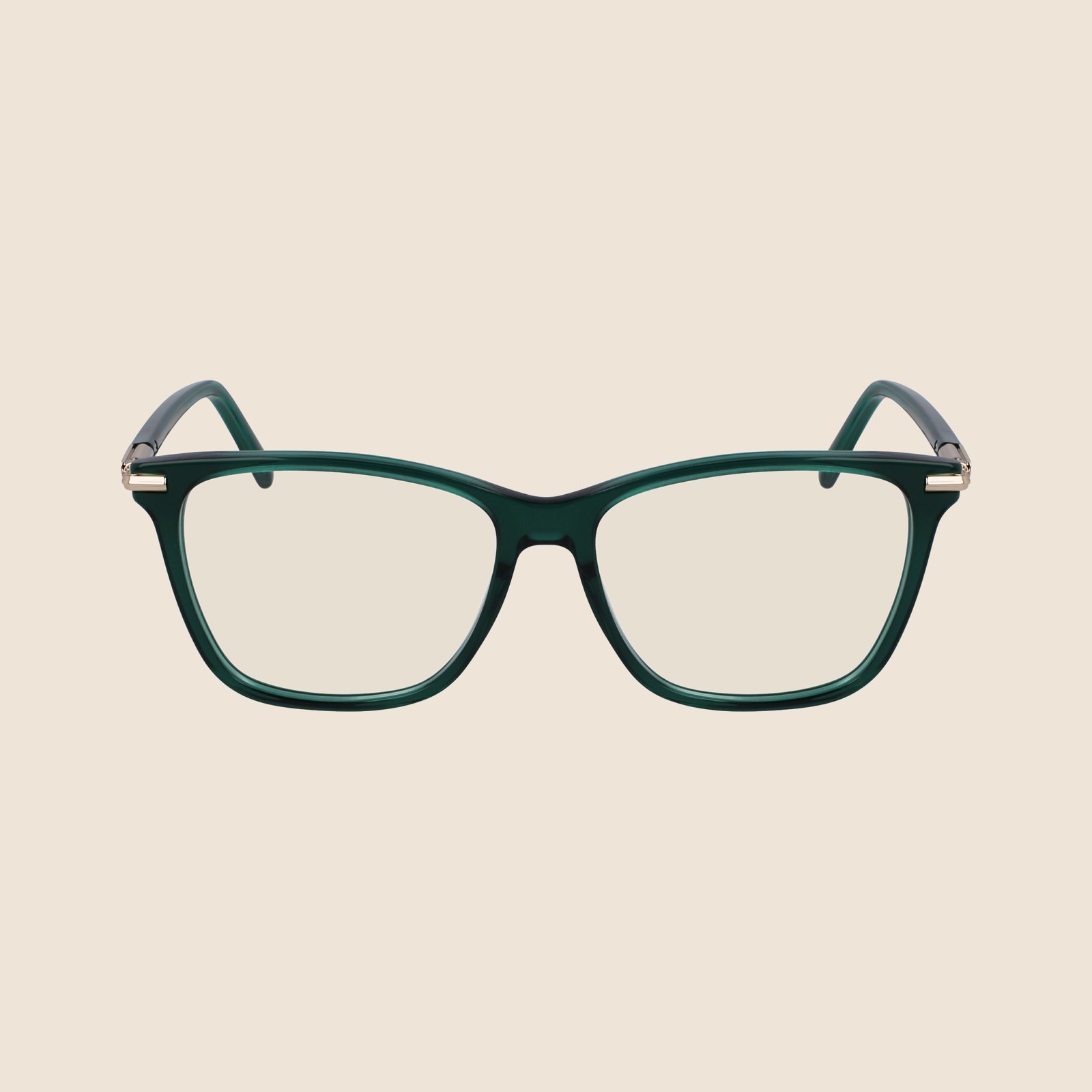 Ferragamo SF3013 Verde