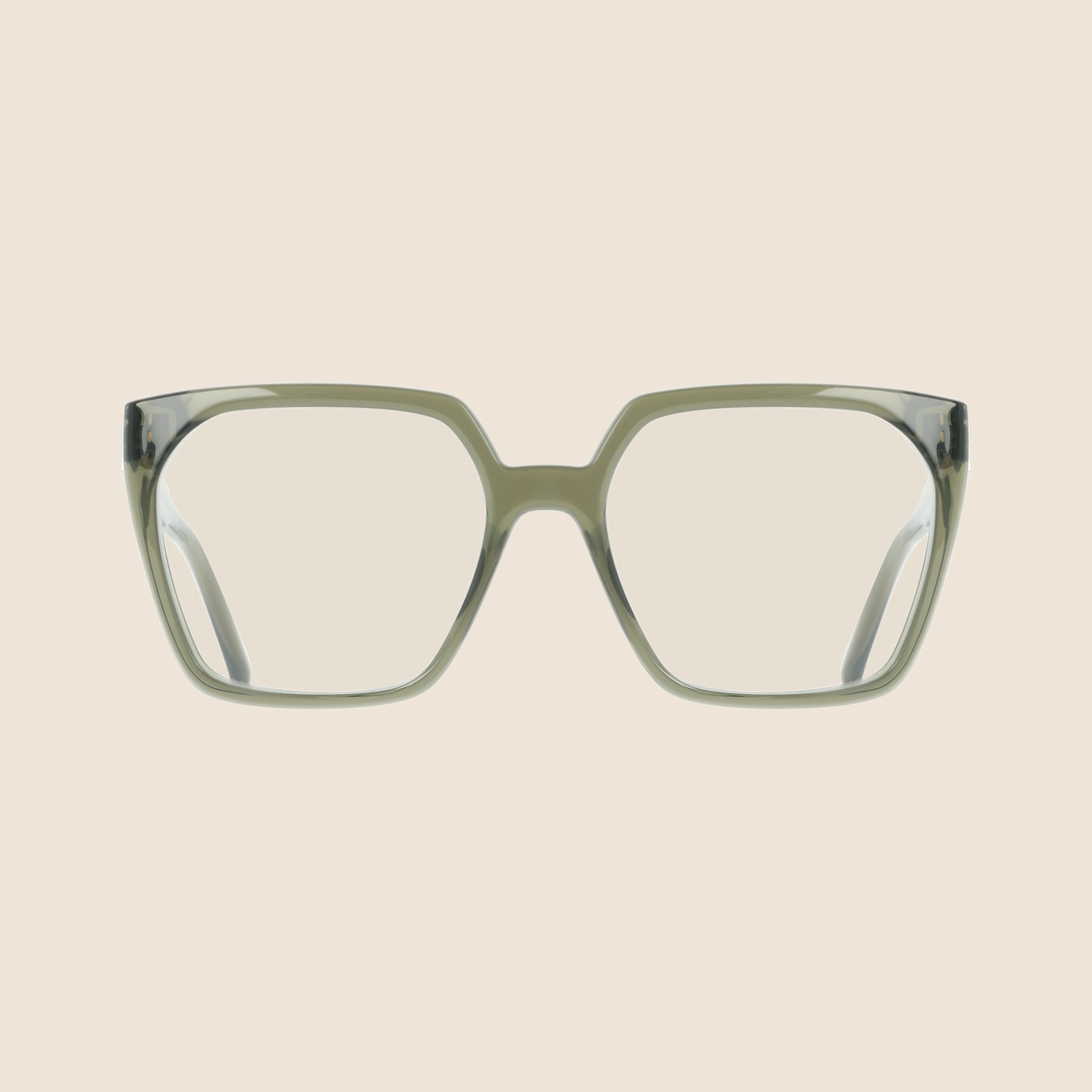 Ferragamo SF3042E Cristal