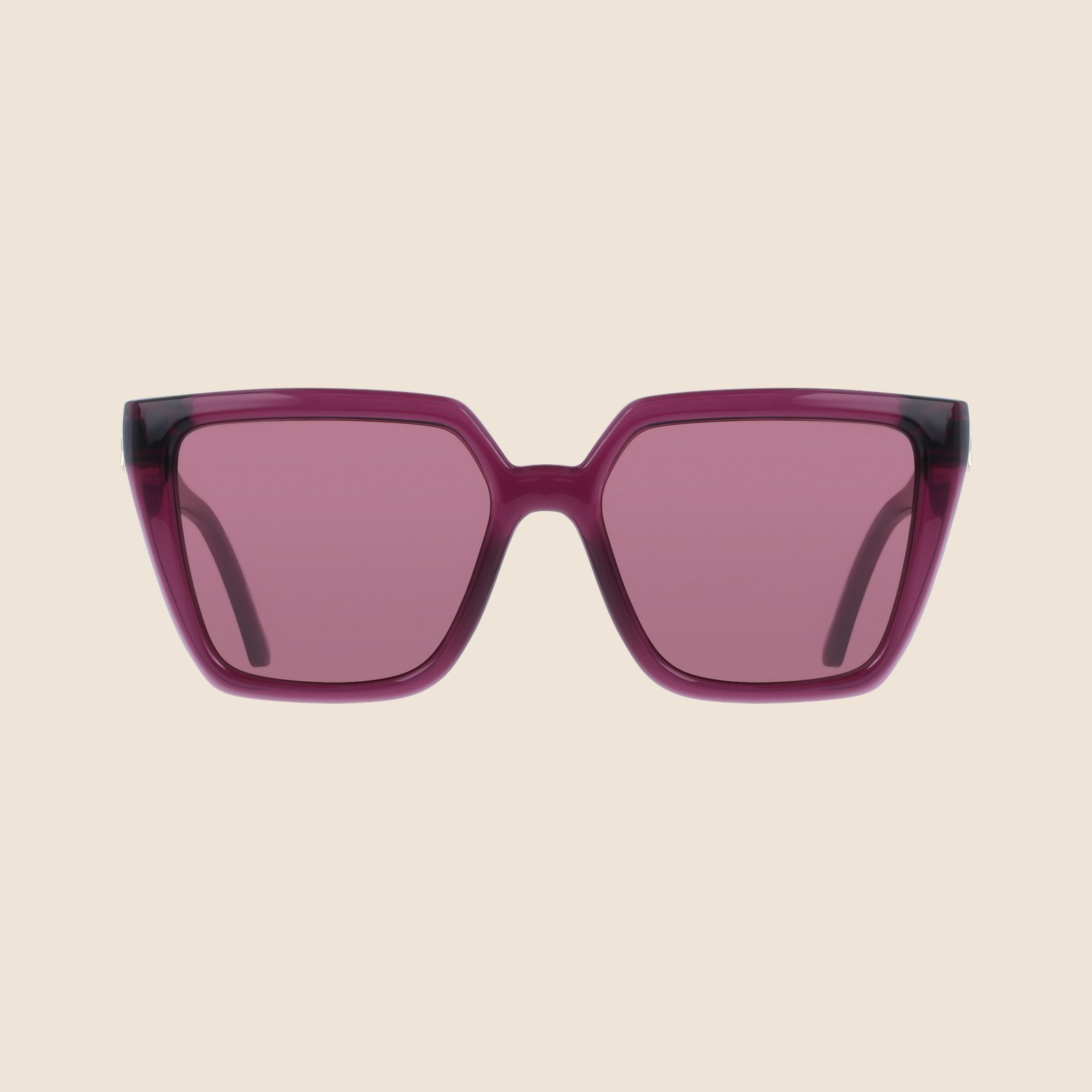 Ferragamo SF2058SE Vinho Translúcido