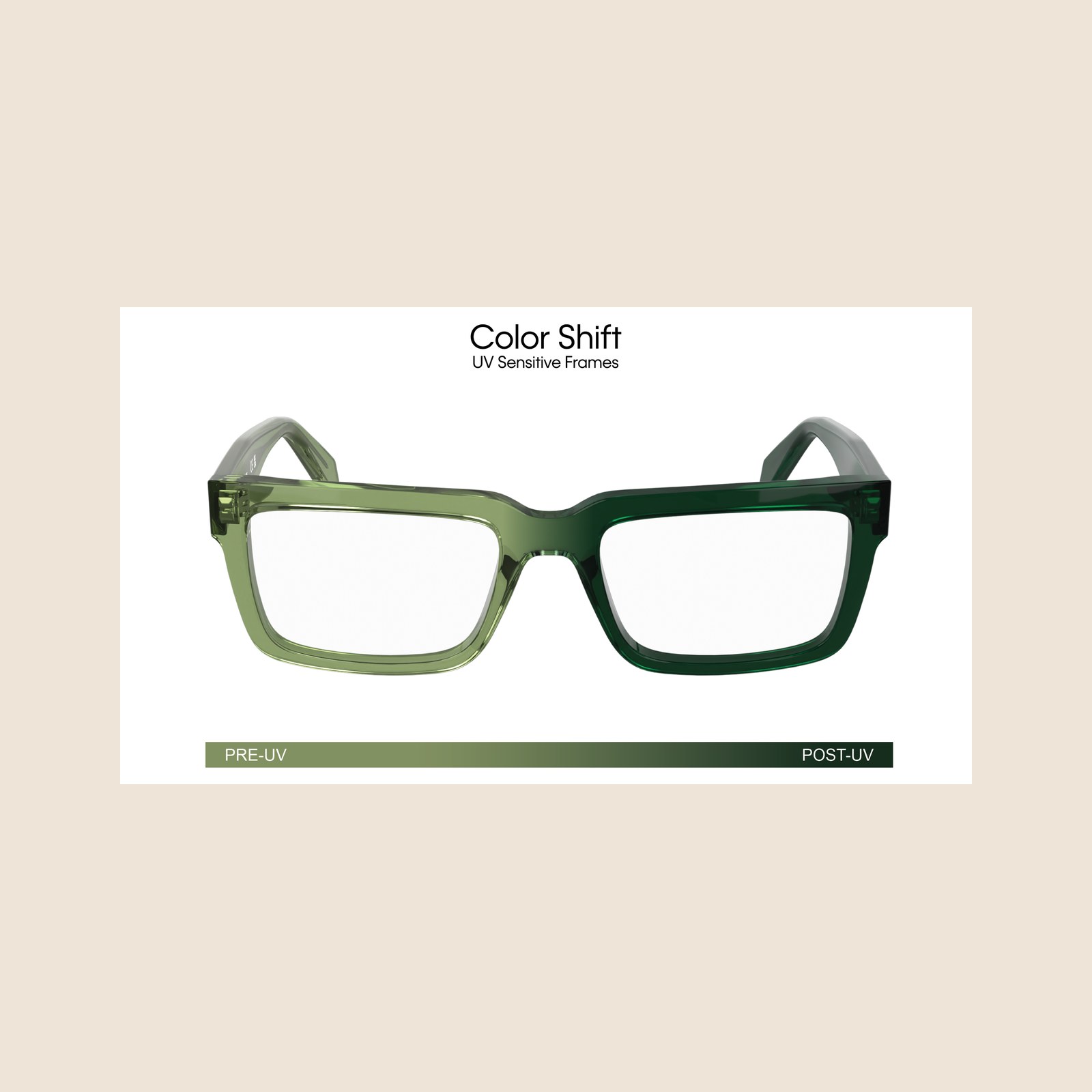 Calvin Klein Jeans CKJ24616 Verde Degradê